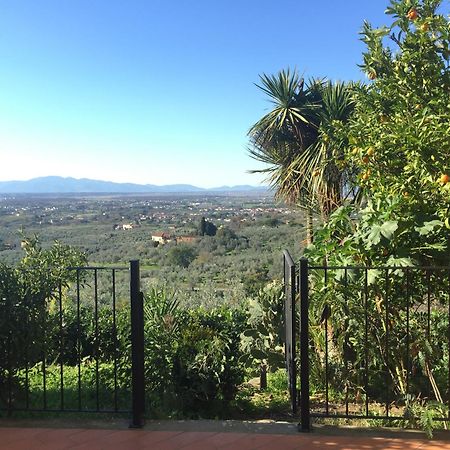 Agriturismo Podere Rondinaio 兰波雷基奥 外观 照片