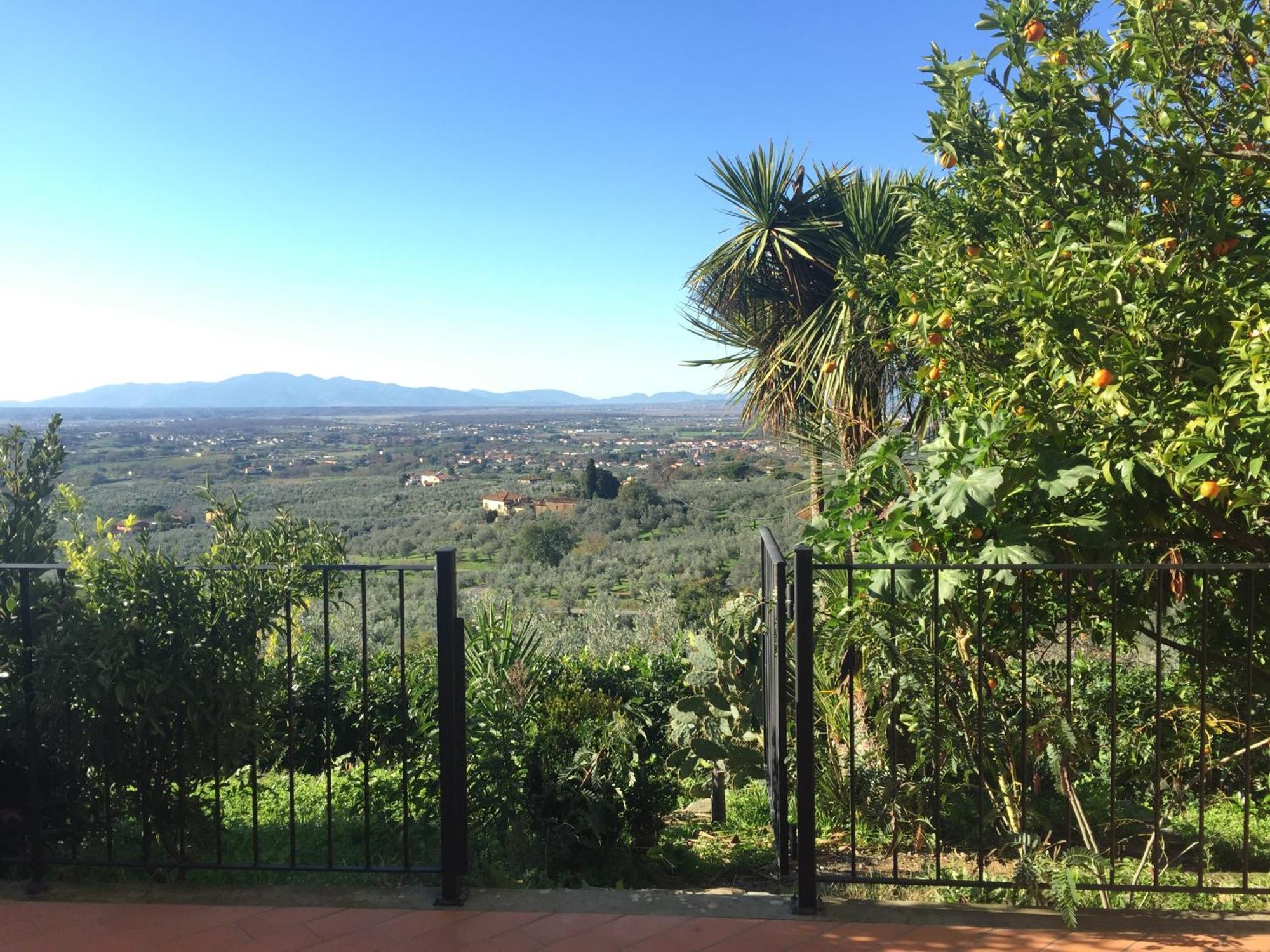 Agriturismo Podere Rondinaio 兰波雷基奥 外观 照片