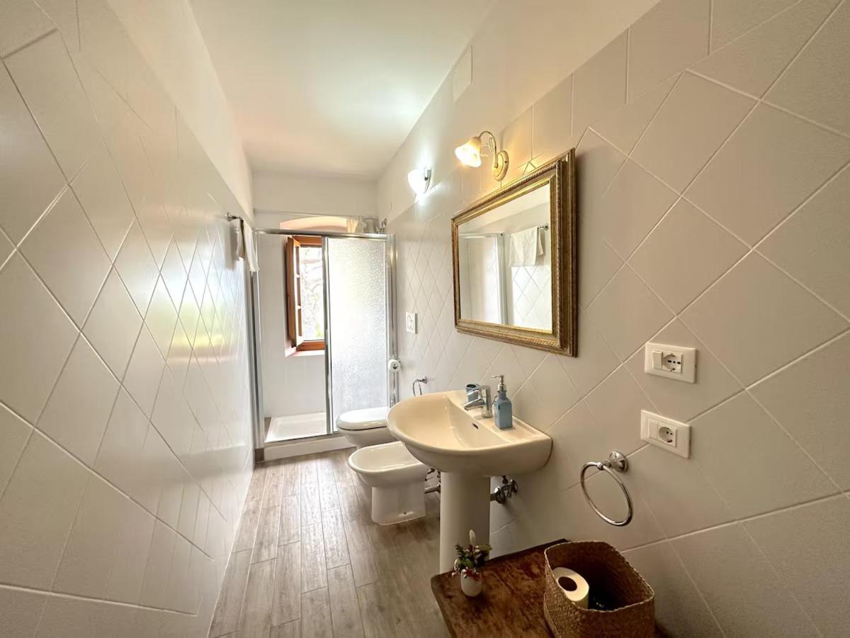 Agriturismo Podere Rondinaio 兰波雷基奥 外观 照片