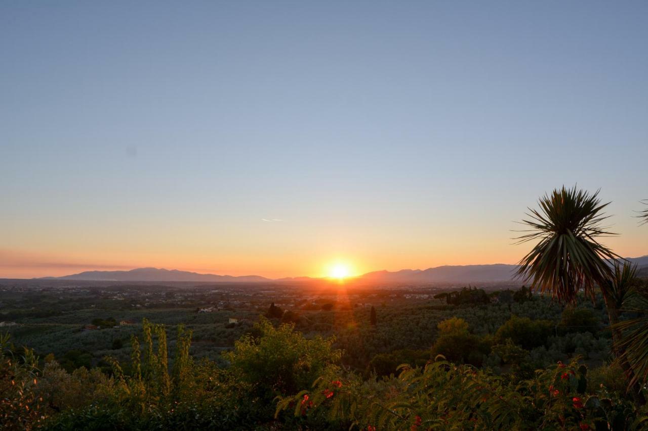 Agriturismo Podere Rondinaio 兰波雷基奥 外观 照片