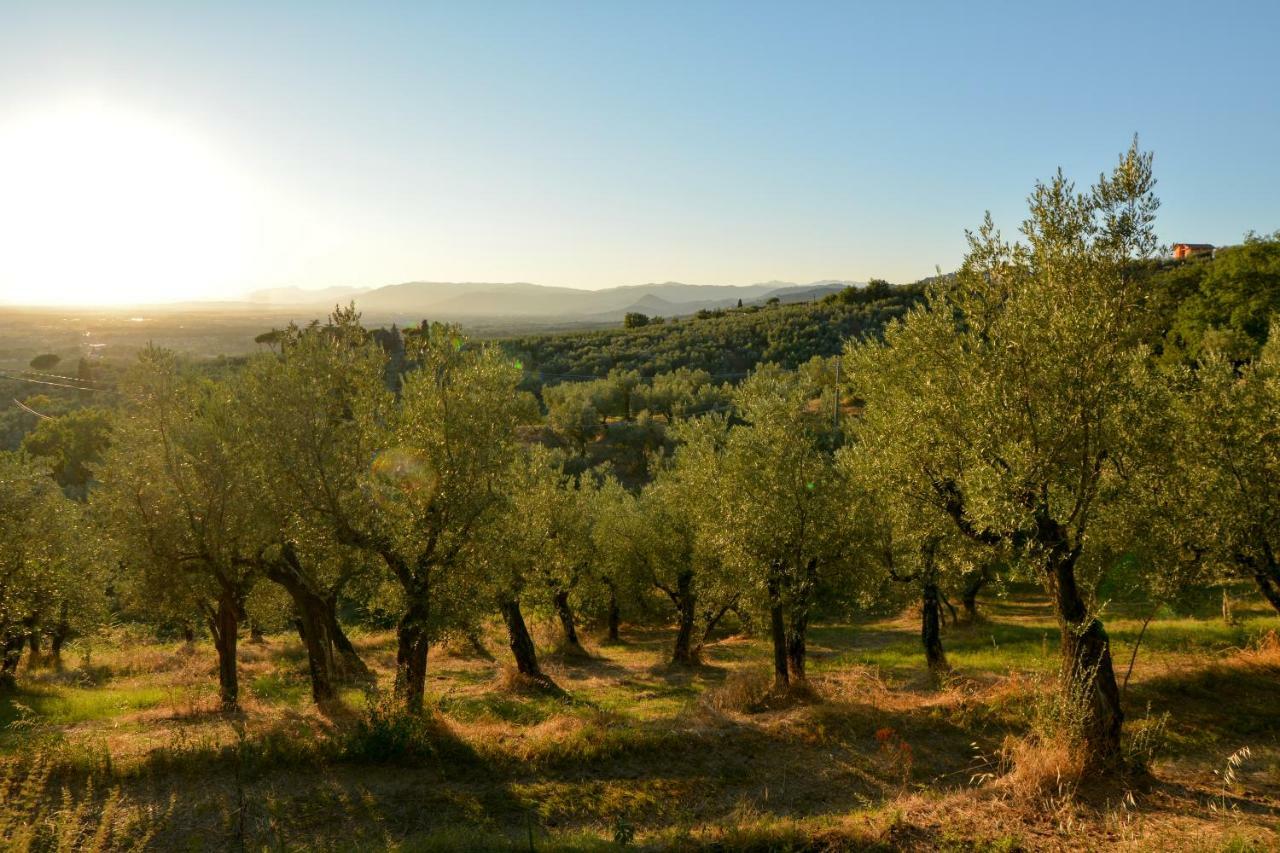 Agriturismo Podere Rondinaio 兰波雷基奥 外观 照片